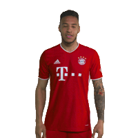 New Jersey Football Sticker by FC Bayern Munich