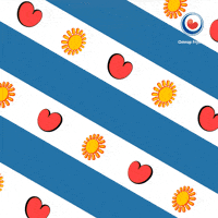 Idc Whatever GIF by Omrop Fryslân