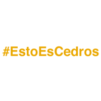 CentroEscolarCedros gobears cedros colegiocedros escuelacedros GIF