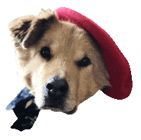 France Hello Sticker