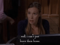 season 6 netflix GIF by Gilmore Girls 