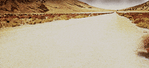 Video gif. Empty desert road has a single tumbleweed blow across it.