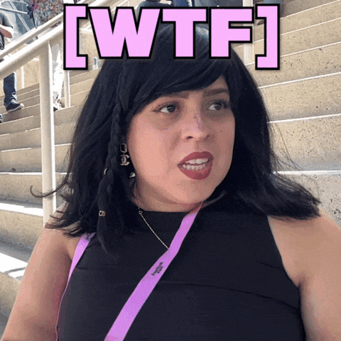 What The Hell Wtf GIF