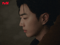 Idol GIF by tvN Official
