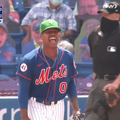 Celebrate New York Mets GIF by SNY