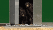 GIF by Skab