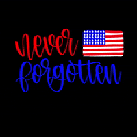 American GIF