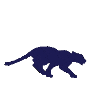 F45Ippy Sticker by F45 TRAINING KARALEEE