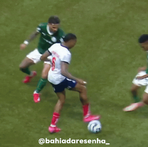 Ecbahia GIF