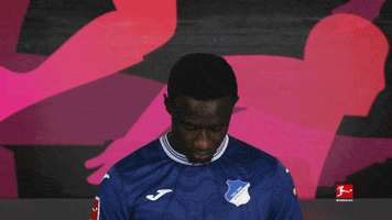Tsg Hoffenheim Football GIF by Bundesliga