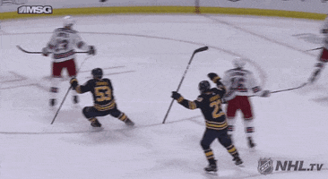 Celebrate Ice Hockey GIF by NHL