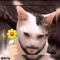Kris GIF