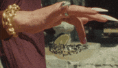 Margarita GIF by Lobos 1707 Tequila