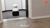 Best Friends Fun GIF by BuzzFeed