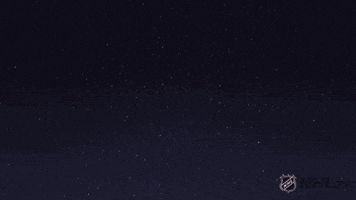 PhiladelphiaFlyers flyers philadelphia philly gritty GIF