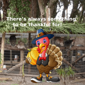 Happy Fall GIF