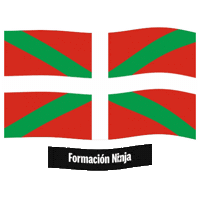 Euskal Herria Flag Sticker by Formación Ninja
