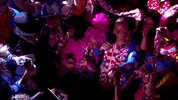 Carnaval Fijnfisjenie GIF by Omroep Brabant