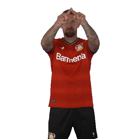 Assisting What Now Sticker by Bayer 04 Leverkusen