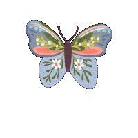 Elizatodd fly butterfly wings insect Sticker