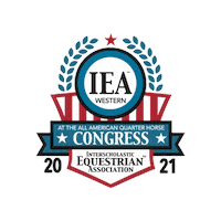 RideIEA iea rideiea ieawestern rideieawestern Sticker