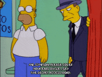 homer simpson episode 20 GIF