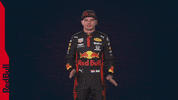Ver Red Bull GIF by Red Bull Racing Honda