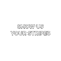 Stripespotting Sticker by Hudson's Bay