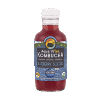 aquavitea drink yum kombucha blueberry Sticker
