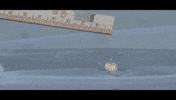 water explosion GIF