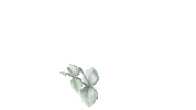 gruenstich new post floral posting greenery Sticker