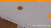 augmented reality android GIF by Wikitude