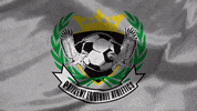 United Football GIF by USL