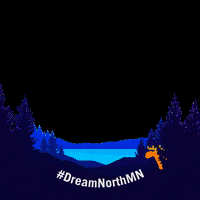 VisitCookCountyMN minnesota lutsen visitcookcounty donorthmn GIF