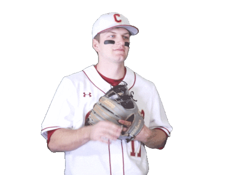 Cofcbaseball Sticker by #TheCollege
