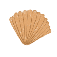 Shell Seashells Sticker by Our Second Nature