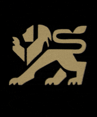GIF by Czechia Throwdown