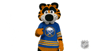 Ice Hockey Sport GIF by NHL