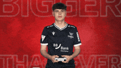 Karlsruher Sc Vbl GIF by Bundesliga