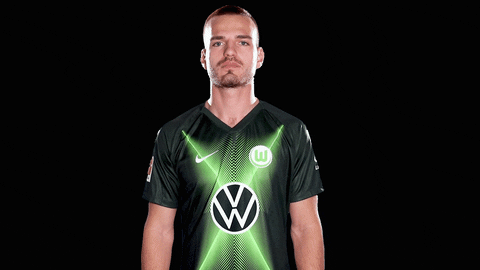 Marin Pongracic Soccer GIF by VfL Wolfsburg