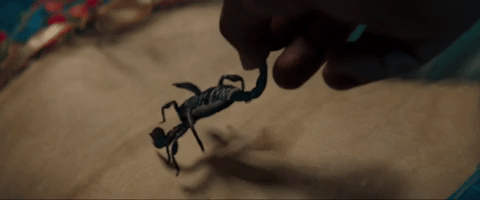 adam levine wait GIF by Interscope Records