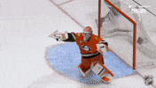 Happy Anaheim Ducks GIF by NHL
