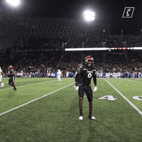 Excited University Of Cincinnati GIF by Cincinnati Bearcats