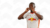 Having Fun GIF by RB Leipzig