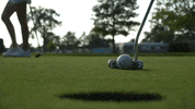iwusports tgoe iwusports iwutitans titanup GIF