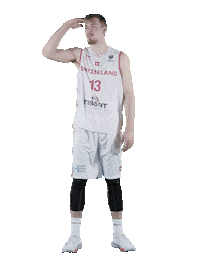 Crowd Martin Sticker by Swiss Basketball