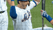 Excited Lets Go GIF by New York Mets