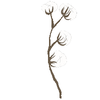 Flower Leaf Sticker by TOrZoNBorZ