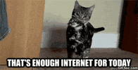 sexual assault no GIF