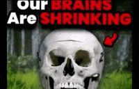 theburgerboys itsburger010 GIF